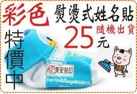 彩色熨燙姓名貼特價25元隨機出貨/美安刻印
